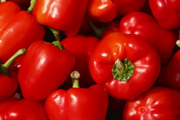 Rote Paprika