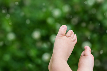 Fototapeta na wymiar Baby's foot in nature