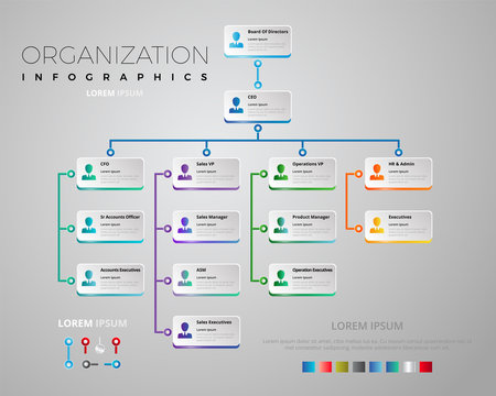Organization Schema Infographic Vectorial Design