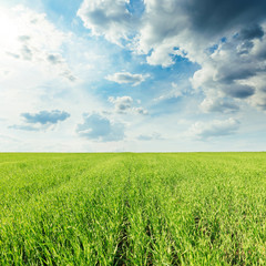 low dark clouds over green grass field
