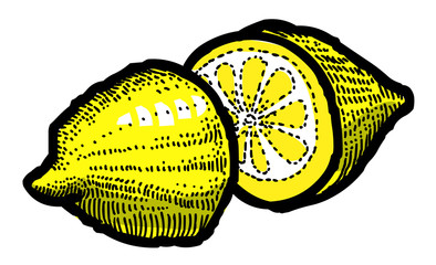 Cartoon image of Lemon Icon. Fruit symbol. An artistic freehand picture.