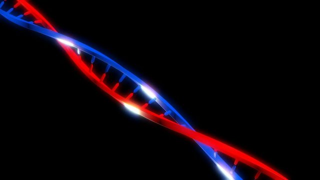 DNA strand able to loop seamless