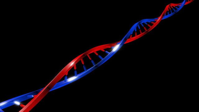DNA strand able to loop seamless