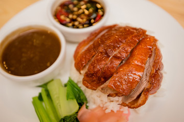 roasted duck with rice, Thai food, Chinese food