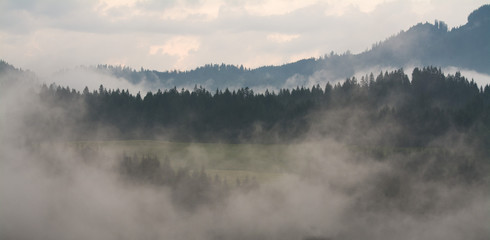 nebelschwaden im gebirge