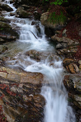 Obraz premium Bach Faltenbachtobel im Allgäu bei Oberstdorf