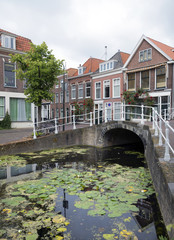 bridge and houses along canal full of water lilies in dutch town of delft