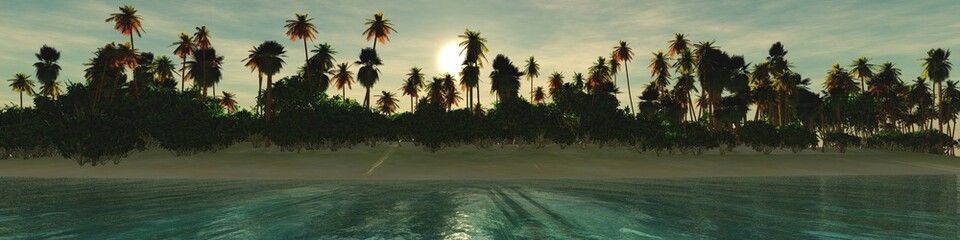 Fototapeta na wymiar Beach with palm trees, panorama of a tropical beach with palm trees