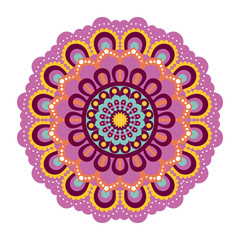 Fototapeta na wymiar white background with colorful flower mandala vintage decorative ornament vector illustration