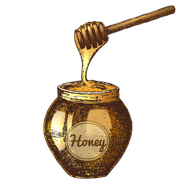 Hand drawn ink sketch illustration of honey pot, organic nature product. Vector