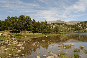 Paisaje de alta montaña con lago y pinos en el Pirineo catalán; España