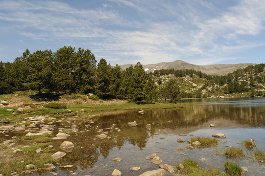 Paisaje de alta monta&ntilde;a con lago y pinos en el Pirineo catal&aacute;n; Espa&ntilde;a