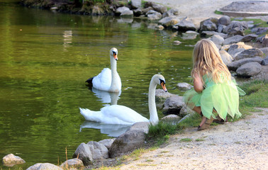girl feeding swans by the lake