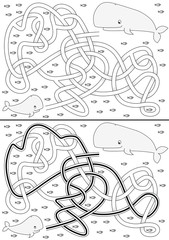 Whale maze
