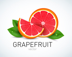 Fresh grapefruit slice with leaves isolated on white background. Vector illustration for decorative poster, emblem natural product, farmers market. Perfect for packaging design of cosmetics and food.