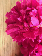 Petals of the peony.