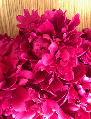 Petals of the peony.