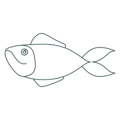 monochrome contour of salmon fish vector illustration
