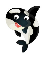 cartoon sea killer whale swimming looking and smiling - illustration for children