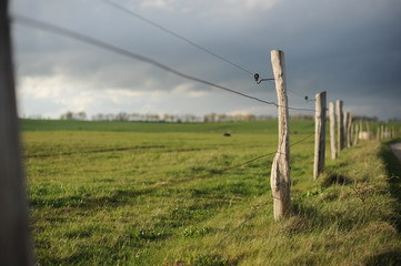 Gewitterwolken vor Sonnenuntergang