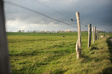 Gewitterwolken vor Sonnenuntergang
