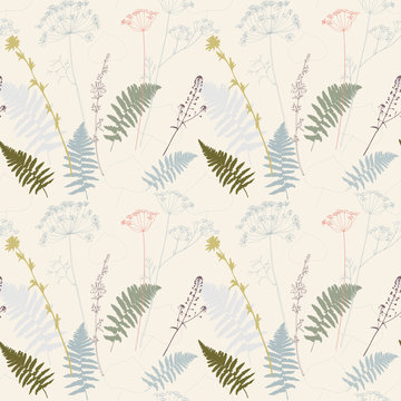 Vector floral seamless pattern with fern leaves, dill, chicory flowers and shepherd's purse plant .