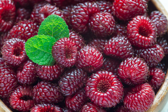 Heap of ripe wild raspberry in a wooden bowl and on table, horizontal, closeup