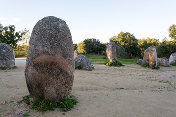 Menhirs in a cromlech close to Evora in Portugal