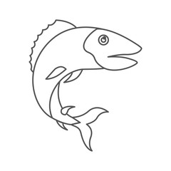 sketch silhouette of trout fish vector illustration