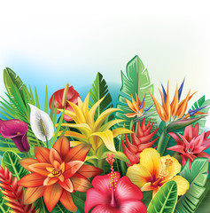 Naklejki  Tło z tropikalnych kwiatów