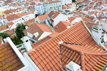 Views of the alfama from the Miradouro de Santa Luzia (Lisbon, Portugal)