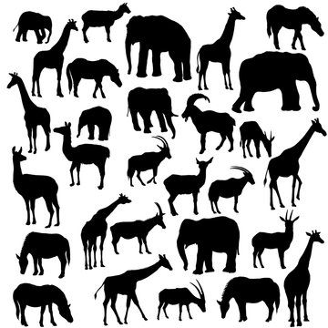 vector set of animal silhouettes