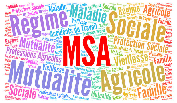 MSA, nuage de mots