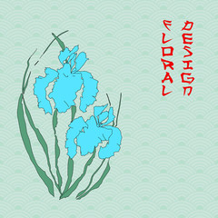 Vector iris. Hand-drawing illustration.