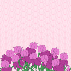 Vector iris. Hand-drawing illustration.