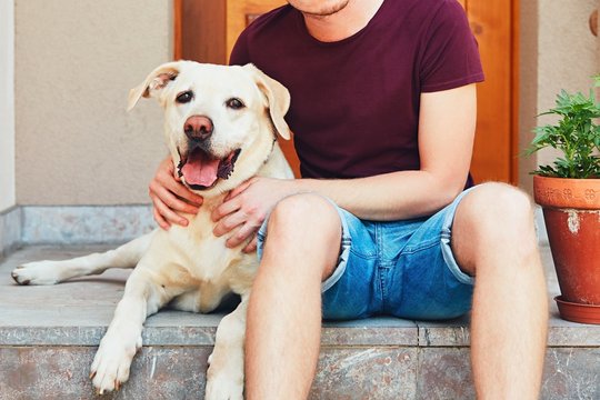 Happy Dog With His Owner