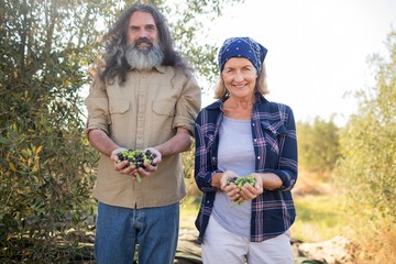 Portrait of happy couple holding harvested olives