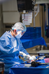 Surgery team in the operating room
