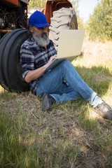 Man using laptop in olive farm