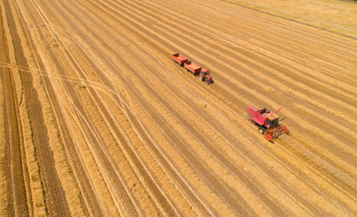 Obraz premium Combine harvester and tractor with trailers in wheat field