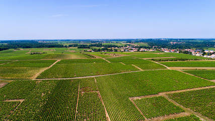 Photographie aérienne du vignoble Nantais près de Monnières en Loire Atlantique