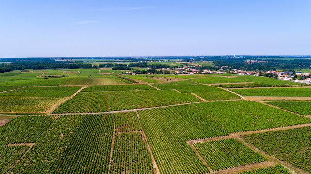 Photographie a&eacute;rienne du vignoble Nantais pr&egrave;s de Monni&egrave;res en Loire Atlantique