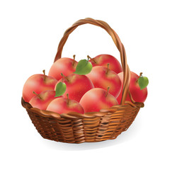 Basket with apples. harvest apples vector illustration