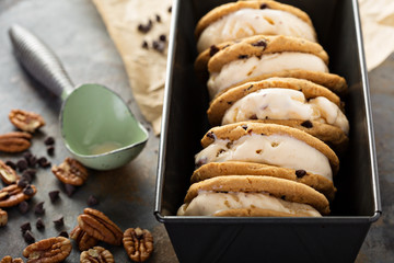 Ice cream sandwiches with chocolate chip cookies