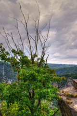 Blick über den Harz Hexentanzplatz