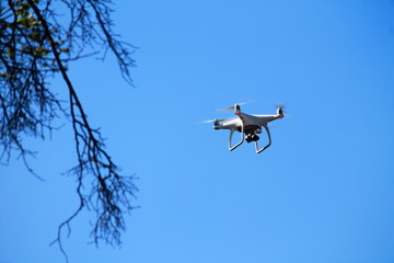 flying drone and tree