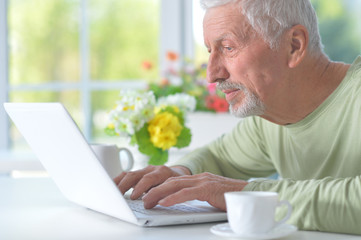 Beautiful old man with a laptop 