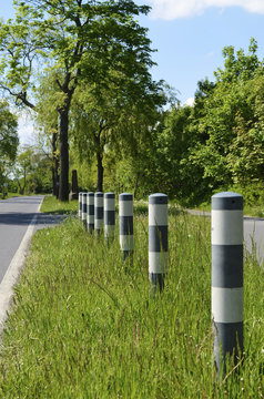 Fototapeta Alley in the surrounding region of Berlin