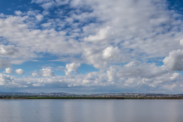 Salt lake with wintering flamingo birds, near the capital of Larnaca, the island of Cyprus