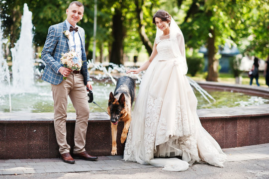 Fabulous Young Wedding Couple Posing Next To A Fountain With A Dog In The Park.